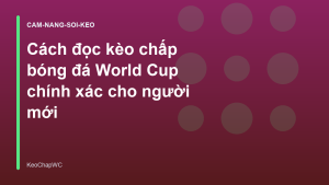 Read more about the article Cách đọc kèo chấp bóng đá World Cup chính xác cho người mới